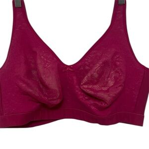 Cacique Hot Pink Lace Wireless Bra 44DDD A83570